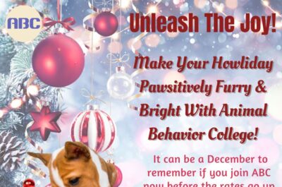 Unleash the joy with Animal Behavior College