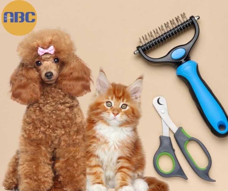 Animal Behavior College Dog & Cat Grooming