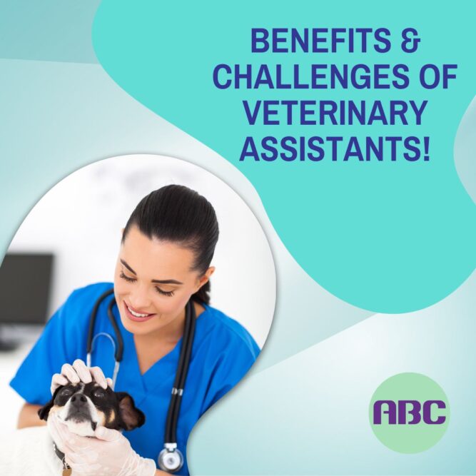 The Benefits and Challenges of Working as a Veterinary Assistant