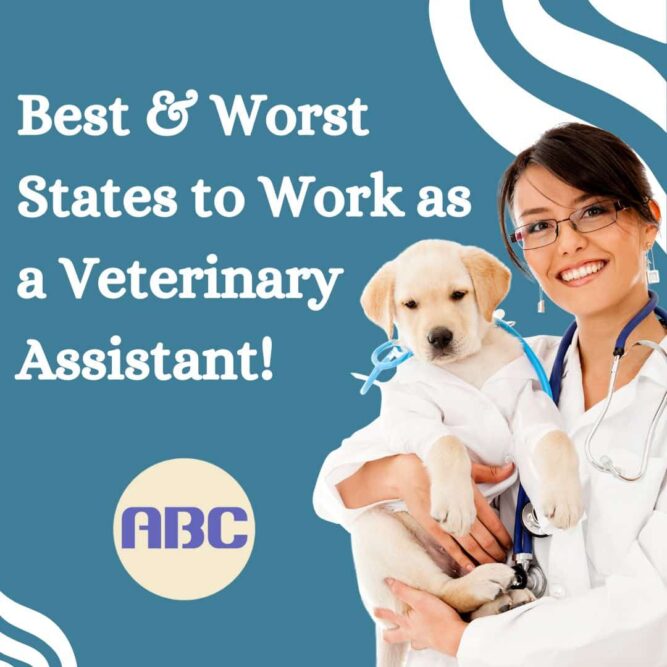 Best & Worst States to Work as a Veterinary Assistant