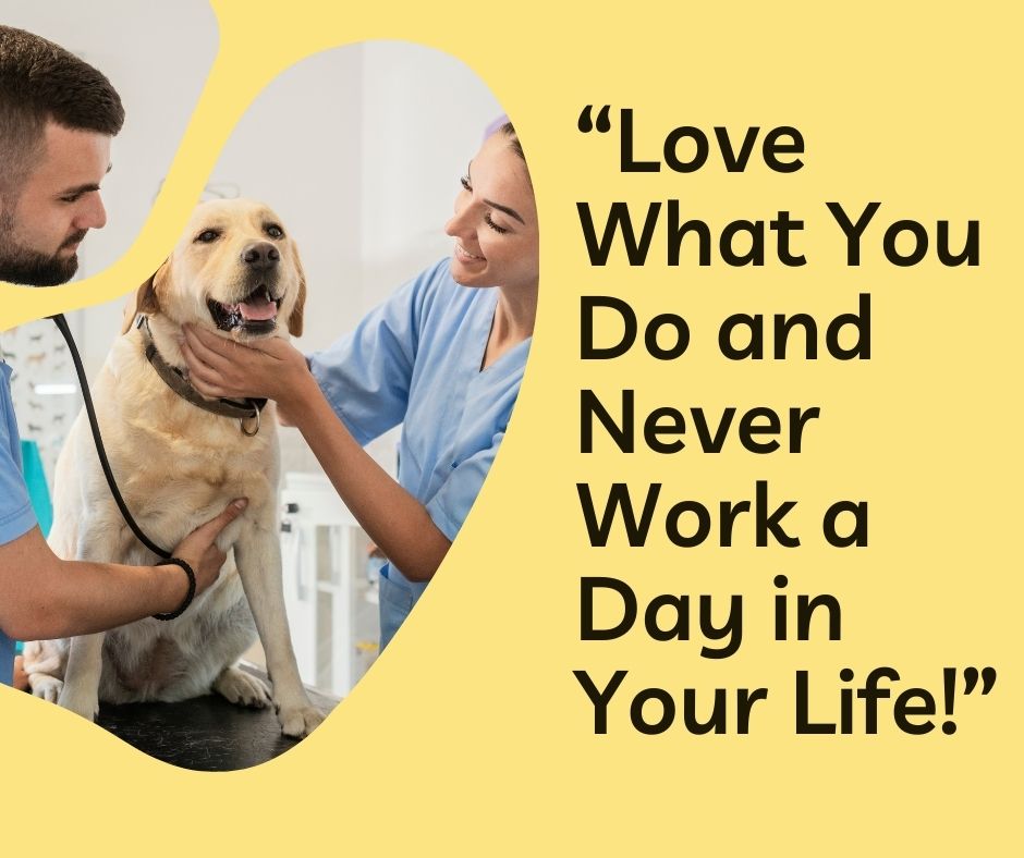 The Finest and Worst States to Work as a Veterinary Assistant in 2024