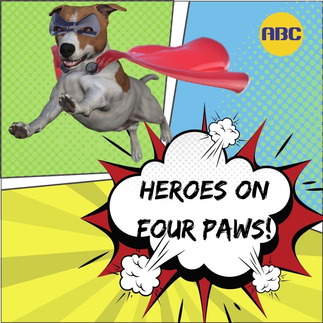 Heroes on Four Paws! – Animal Behavior College