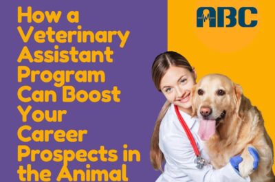 How a Veterinary Assistant Program Can Boost Your Career Prospects in the Animal Care Industry