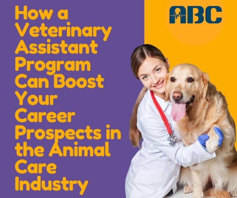 How a Veterinary Assistant Program Can Boost Your Career Prospects in the Animal Care Industry