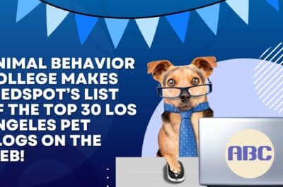 Animal Behavior College Makes Feedspot’s List of the Top 30 Los Angeles Pet Blogs on the Web!