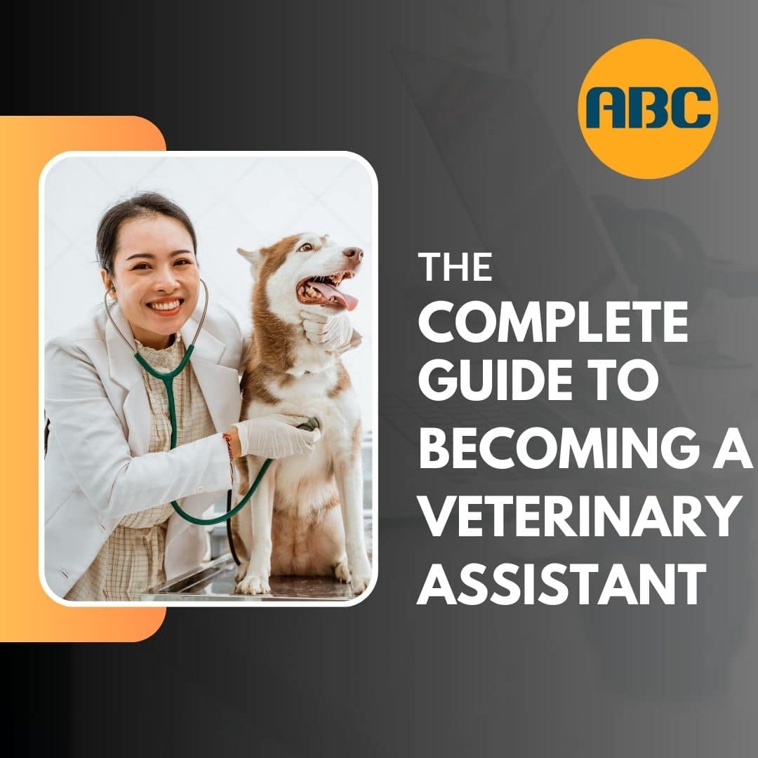 The Complete Guide to Becoming a Veterinary Assistant