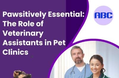 Animal Behavior College's Pawsitively Essential: The Role of Veterinary Assistants in Pet Clinics
