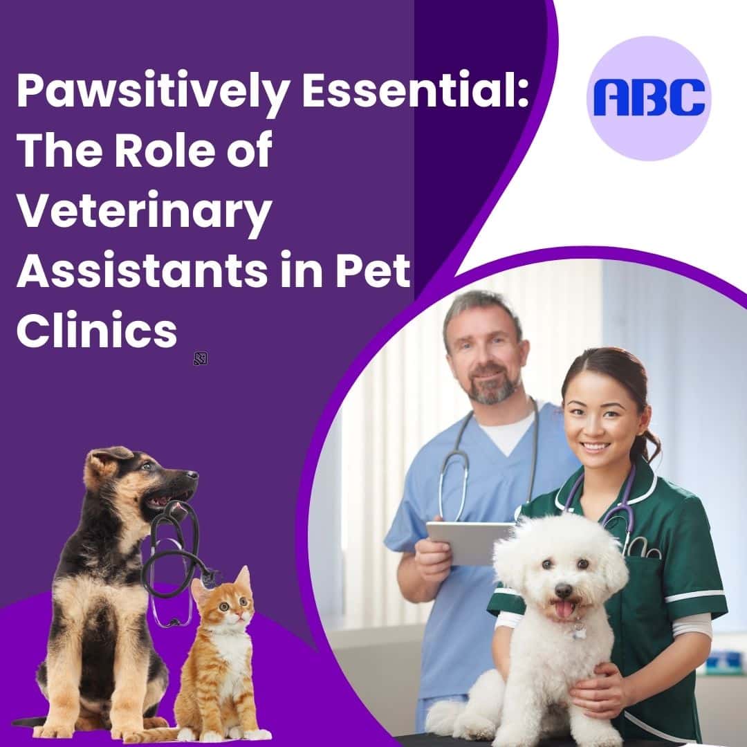 Pawsitively Essential: The Role of Veterinary Assistants in Pet Clinics