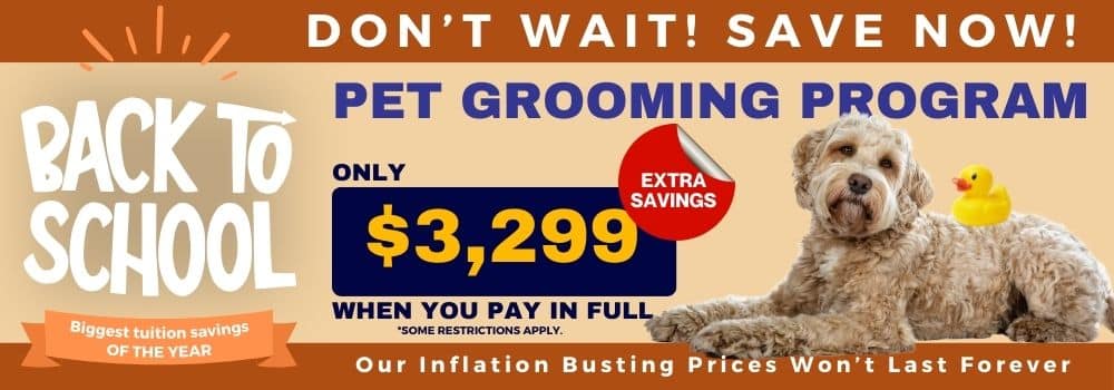 Professional Dog Grooming Academy | PDGA - Enroll Now