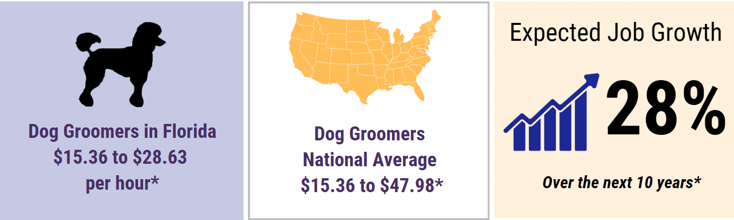 Dog Grooming Classes Near Me | Dog Grooming Academy