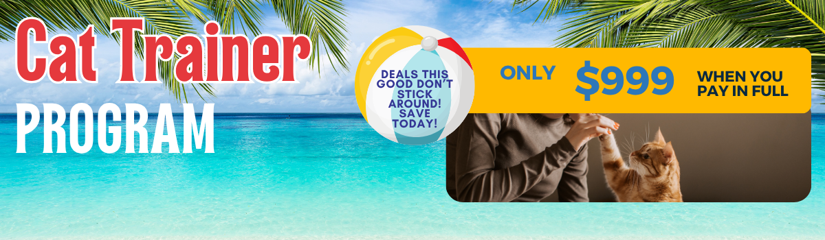 Sale Banner