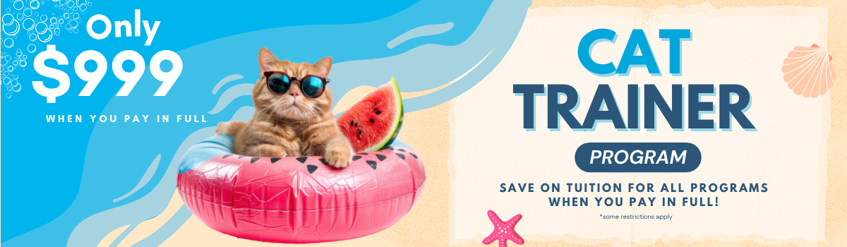 Sale Banner