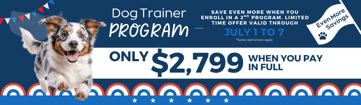 Sale Banner