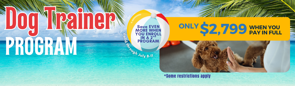 Sale Banner