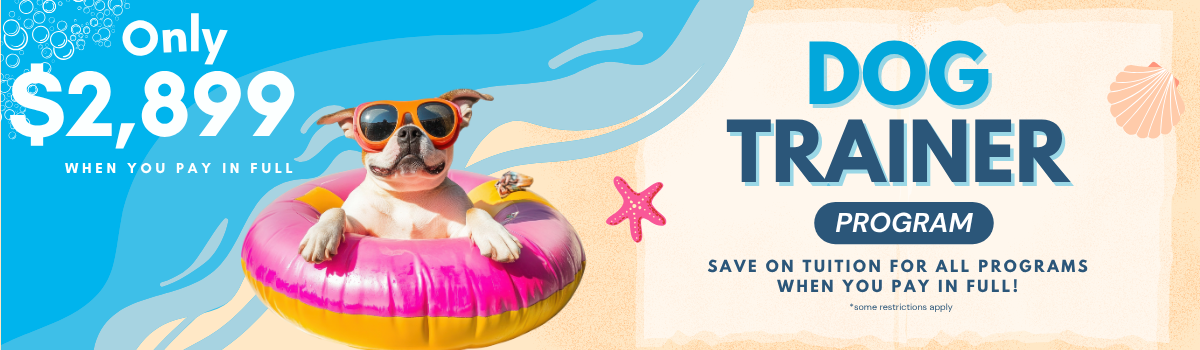 Sale Banner
