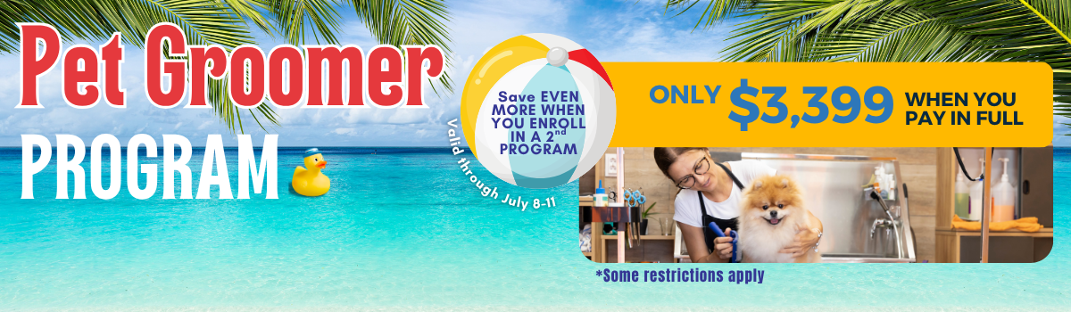 Sale Banner