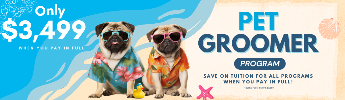 Sale Banner