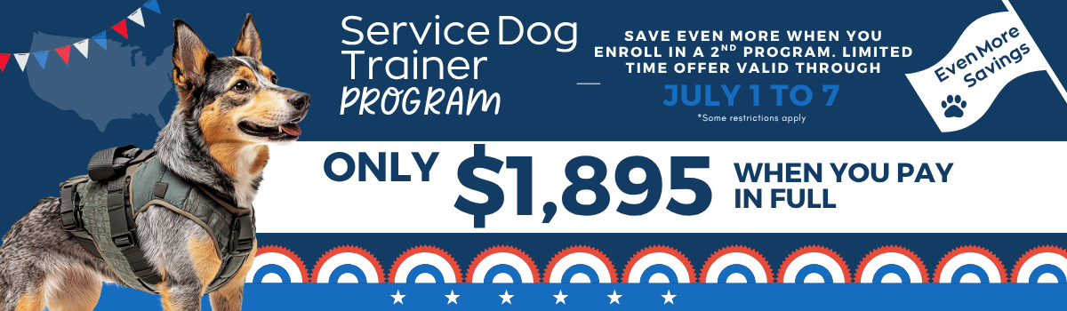 Sale Banner