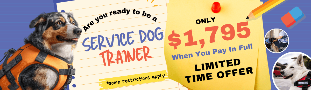 Sale Banner