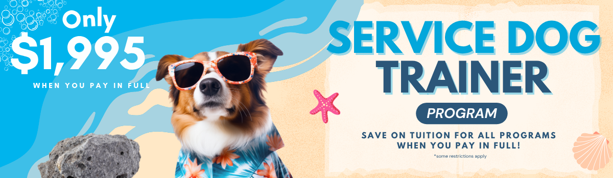 Sale Banner