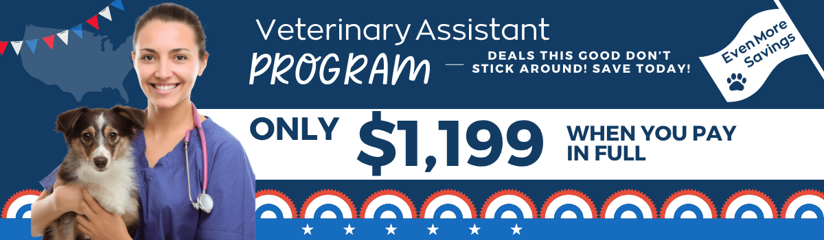 Sale Banner