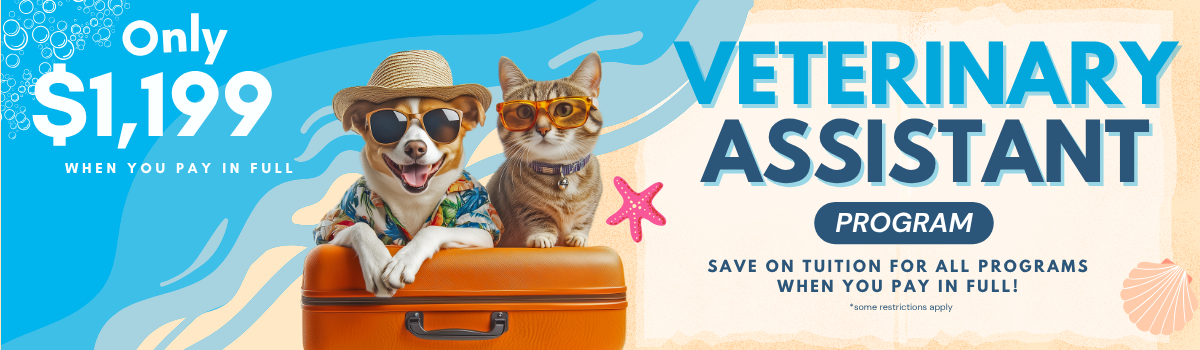 Sale Banner