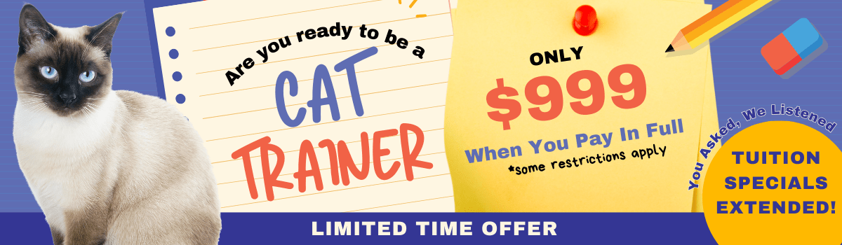 Sale Banner
