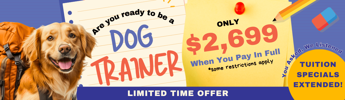 Sale Banner