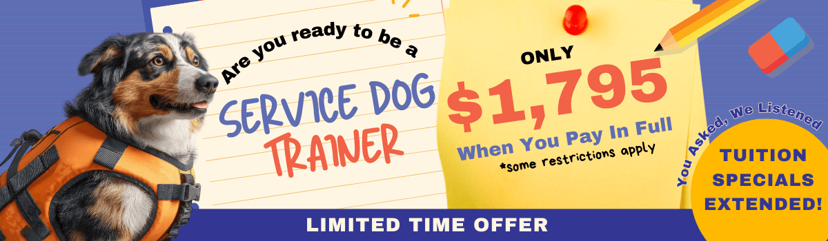 Sale Banner
