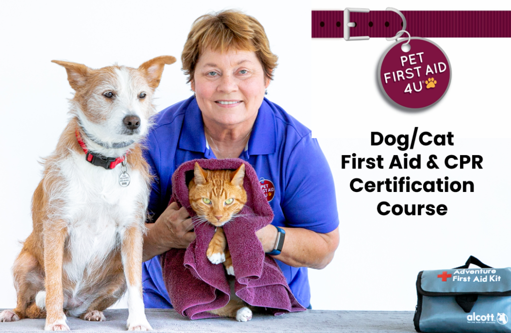 Dog and Cat Course Header