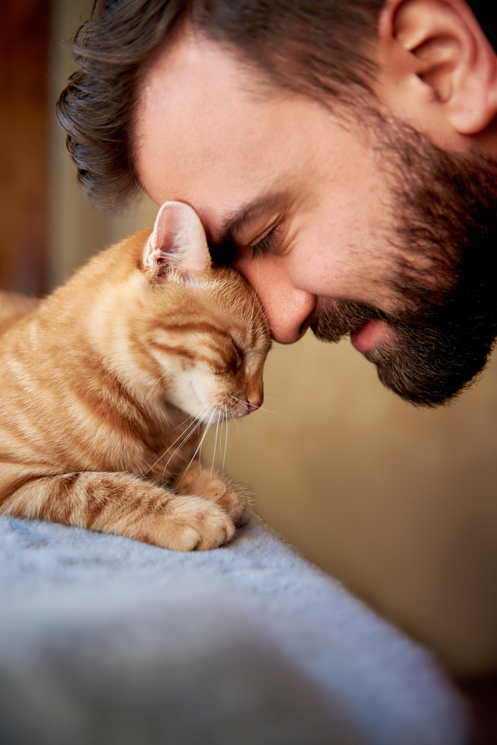 Woman cuddling a cat and kitten