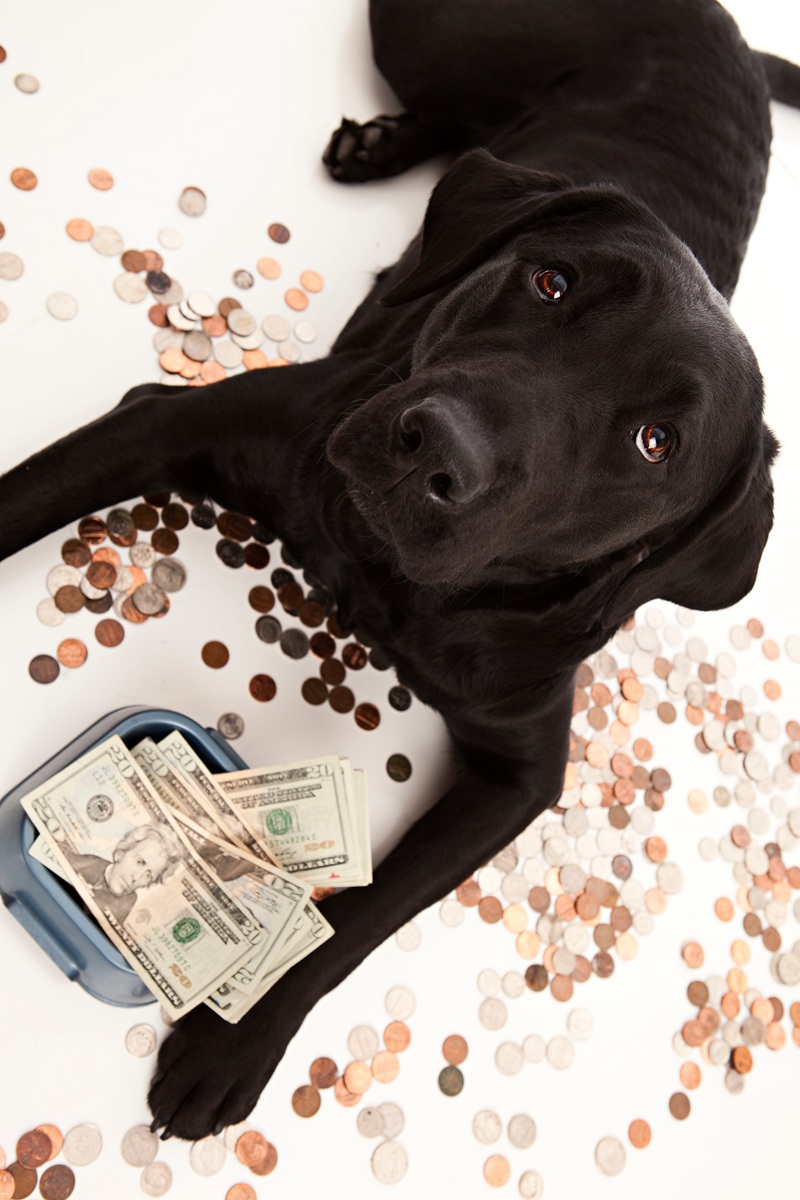 Tuition & Payment Plans