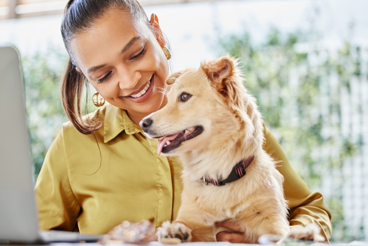 Animal care professional pursuing a short term program career
